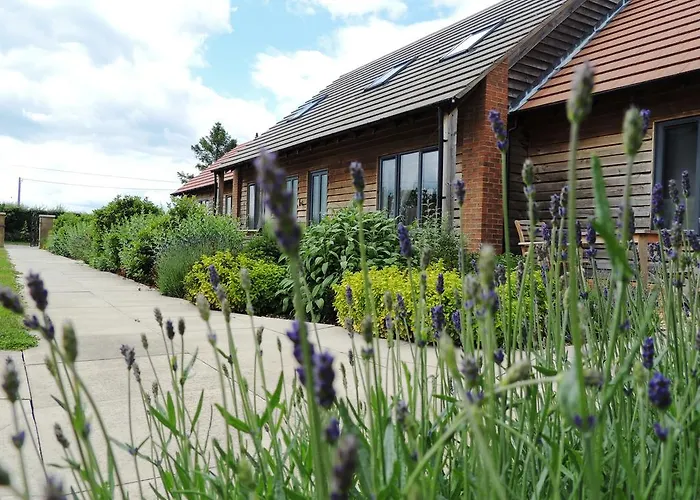 Elm Tree Farm Accommodation